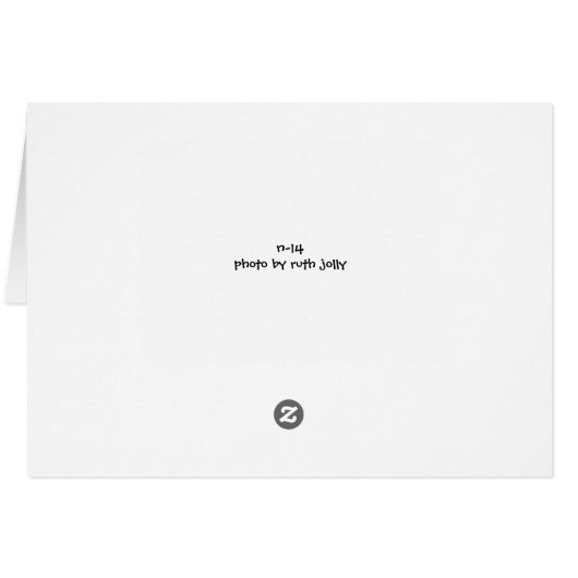 アメリカ人の男性ウィゲオン (裏面横)