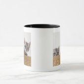 アメリカ人のShorthairの2匹の子ネコ マグカップ (中央)