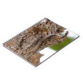 アメリカ人トレクレッパーとバグ ノートブック (左側)