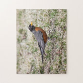 アメリカ人ロビン ジグソーパズル (縦)