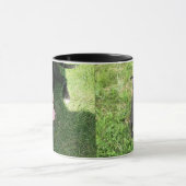 アメリカ人Bull Terrior マグカップ (中央)