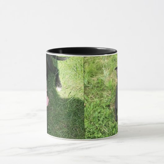 アメリカ人Bull Terrior マグカップ (中央)