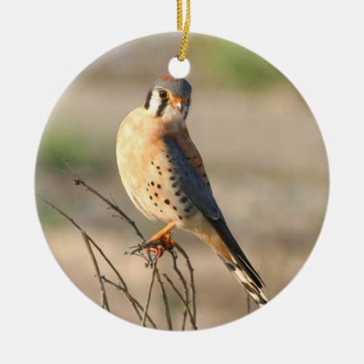 アメリカ人Kestel セラミックオーナメント (正面)