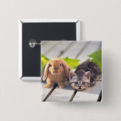 アメリカ人Shorthair及びバニー 缶バッジ (正面&裏面)