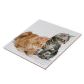 アメリカ人Shorthair タイル (側面)