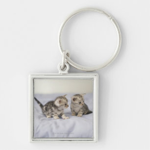 アメリカ人Shorthair 7 キーホルダー