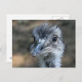 アメリカ便ポートレート ポストカード (正面/裏面)