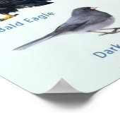 アメリカ冬鳥のリスト ポスター (角)