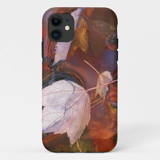 アメリカ北東部、落ち葉が水溜まりに Case-Mate iPhoneケース (裏面)