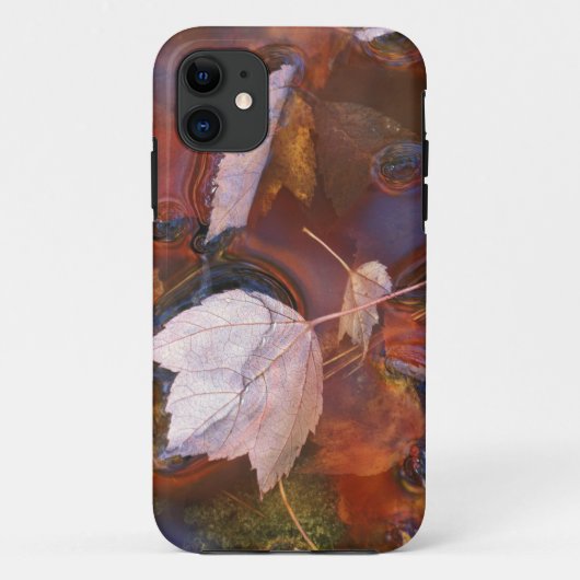 アメリカ北東部、落ち葉の浮かぶ水たまりの Case-Mate iPhoneケース (裏面)