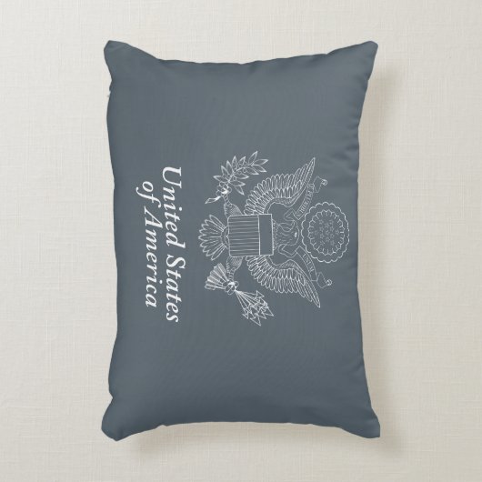 アメリカ印 アクセントクッション (正面(垂直))