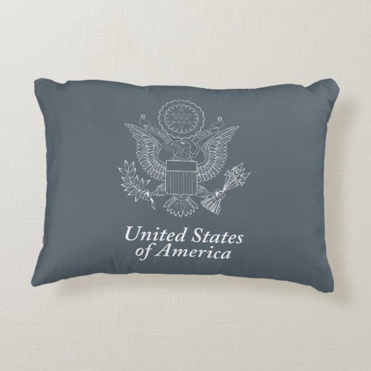 アメリカ印 アクセントクッション (裏面)