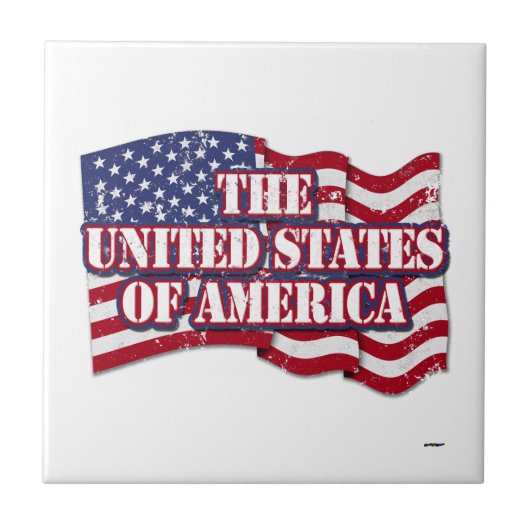 アメリカ合衆国の国旗動揺して タイル (正面)