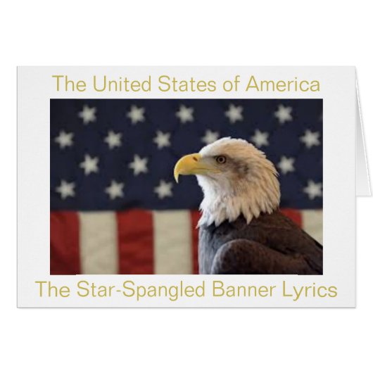 アメリカ合衆国の国旗 (正面横)