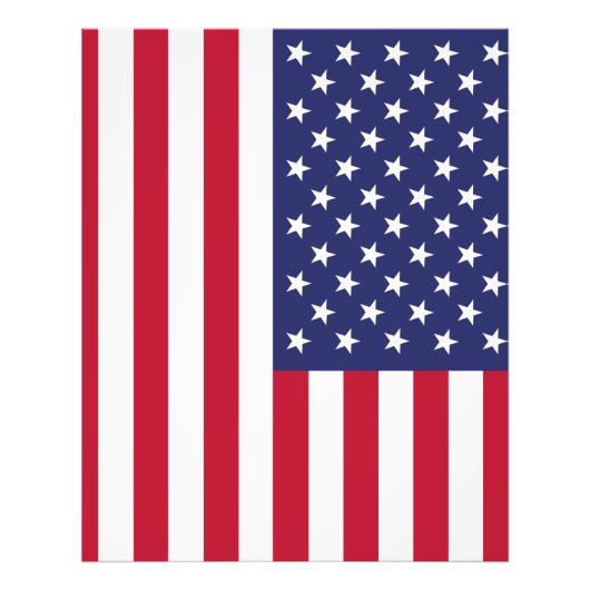 アメリカ合衆国の国旗 フォトプリント (正面)
