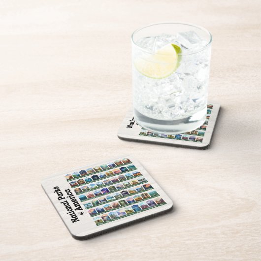 アメリカ合衆国の国立公園 コースター (右側)