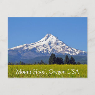 アメリカ合衆国の山フード ポストカード