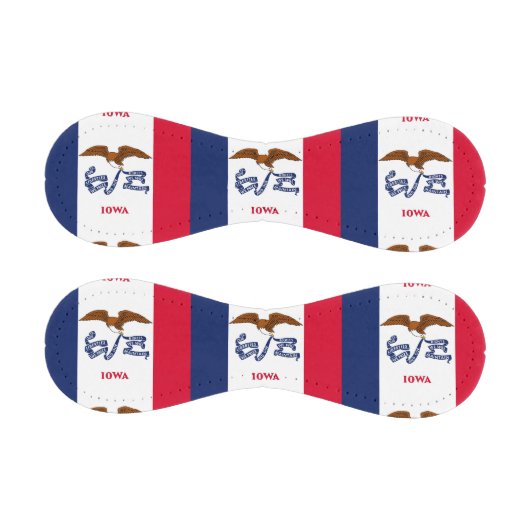 アメリカ合衆国アイオワ州旗を持つ愛国野球 野球ボール (パネル)