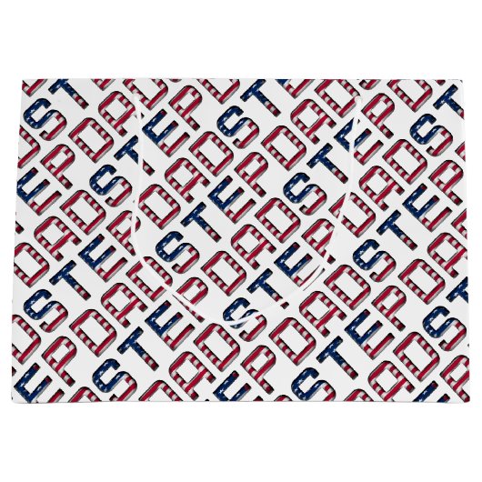 アメリカ合衆国アメリカ合衆国のStepdad Stars and Stripes ラージペーパーバッグ (正面)