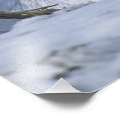 アメリカ合衆国アラスカ州NA。北極国立野生生物 フォトプリント (角)