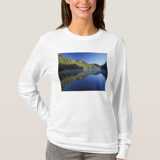 アメリカ合衆国ケンタッキー州 ダニエル・ブーン国有林 Tシャツ (正面)