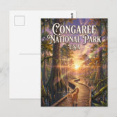 アメリカ合衆国コンガレリー国立公園 ポストカード (正面/裏面)