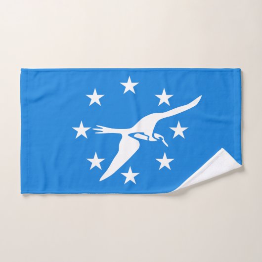 アメリカ合衆国コーパスクリスティシティ国旗を持つハンドタオル ハンドタオル (ハンドタオル)