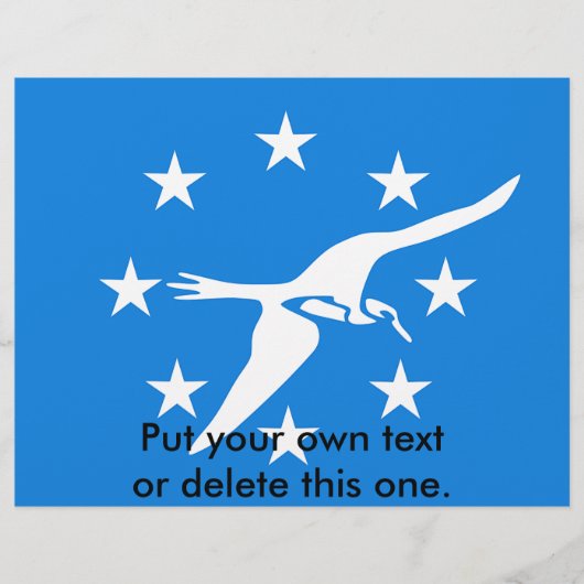 アメリカ合衆国コーパスクリスティ国旗を掲げたフライヤー チラシ (正面)
