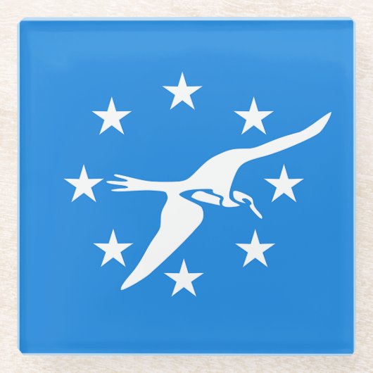 アメリカ合衆国コーパスクリスティ州旗を持つガラスコースター ガラスコースター (正面)