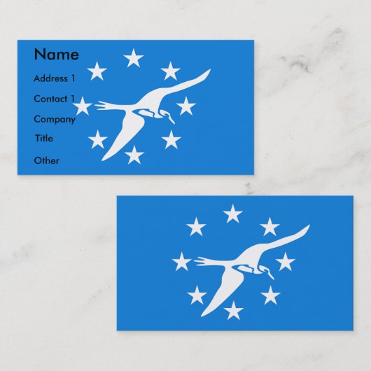 アメリカ合衆国コーパスクリスティ州旗を持つ名刺 名刺 (正面/裏面)