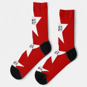 アメリカ合衆国サンアントニオ州旗を持つ男性クルー靴下 ソックス (左)