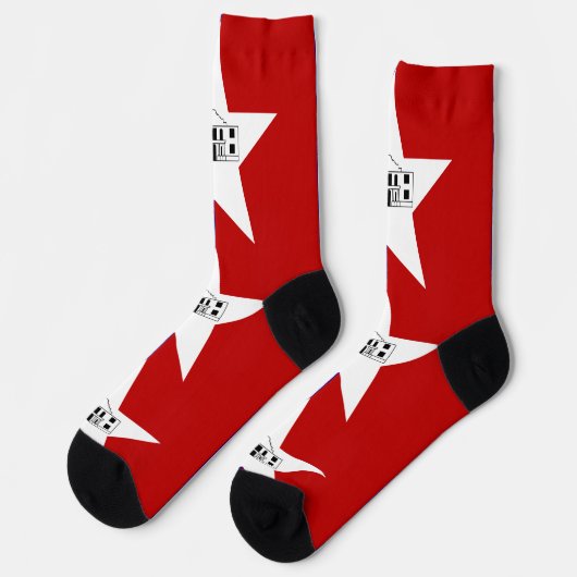 アメリカ合衆国サンアントニオ州旗を持つ男性クルー靴下 ソックス (左)