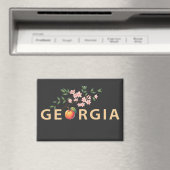 アメリカ合衆国ジョージア マグネット (インサイチュ (食洗機))