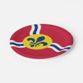 アメリカ合衆国セントルイス州旗を持つ愛国的紙プレート ペーパープレート (アングル)