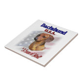 アメリカ合衆国ダシュント タイル (側面)