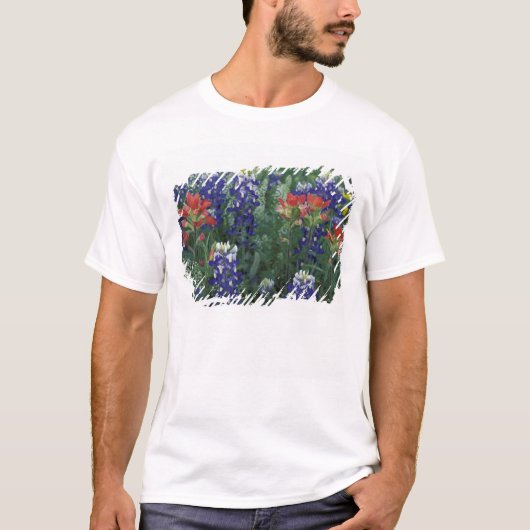 アメリカ合衆国テキサス州の丘陵地帯。ルピナスと Tシャツ (正面)