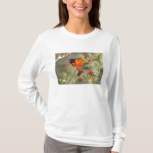 アメリカ合衆国テキサス州サウスパドリ島 Tシャツ (正面)