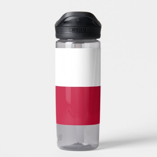 アメリカ合衆国テキサス州州の国旗が付いたウォーターボトル ウォーターボトル (背面)