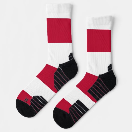 アメリカ合衆国テキサス州州旗を持つアスレティッククルーソック ソックス (左)