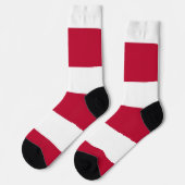 アメリカ合衆国テキサス州州旗を持つメンズクルーソックス ソックス (左)