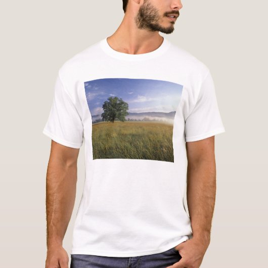 アメリカ合衆国テネシー州グレートスモーキー山脈 Tシャツ (正面)