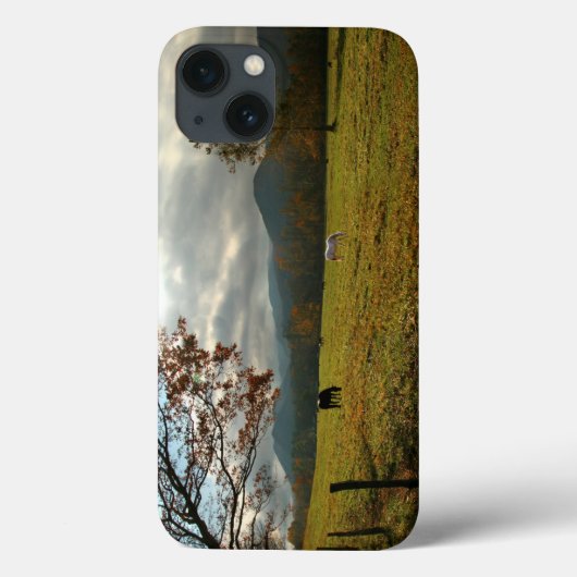 アメリカ合衆国テネシー州、ケイデスの谷の馬 Case-Mate iPhoneケース (裏面)