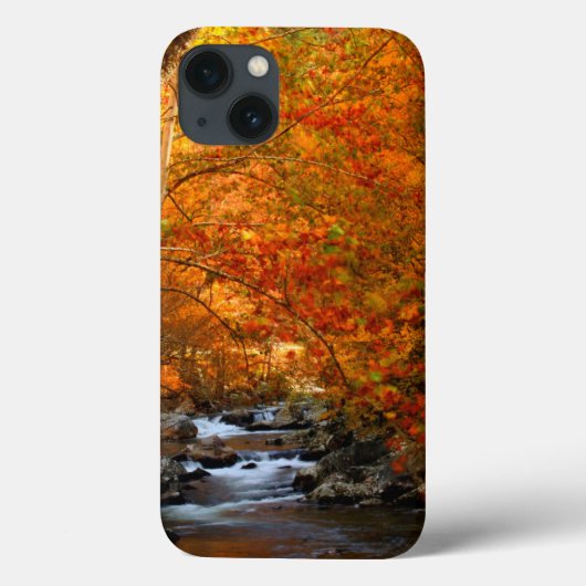 アメリカ合衆国テネシー州 ラッシングマウンテンクリーク 2 Case-Mate iPhoneケース (裏面)
