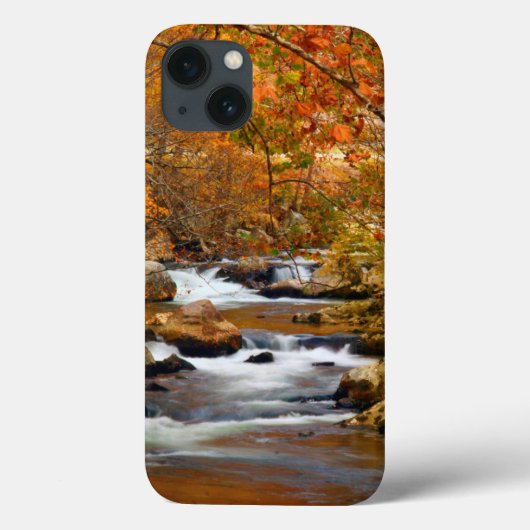 アメリカ合衆国テネシー州 ラッシングマウンテンクリーク Case-Mate iPhoneケース (裏面)
