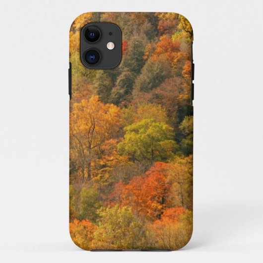 アメリカ合衆国テネシー州 秋の紅葉 2 Case-Mate iPhoneケース (裏面)