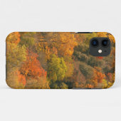 アメリカ合衆国テネシー州 秋の紅葉 2 Case-Mate iPhoneケース (裏面(横))