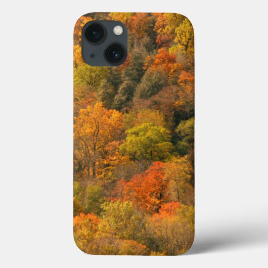 アメリカ合衆国テネシー州 秋の紅葉 2 Case-Mate iPhoneケース (裏面)