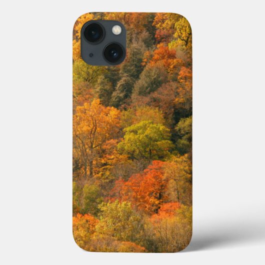 アメリカ合衆国テネシー州。紅葉 2 Case-Mate iPhoneケース (裏面)