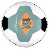 アメリカ合衆国デラウェア州旗を掲げる愛国的サッカーボール サッカーボール (回転)