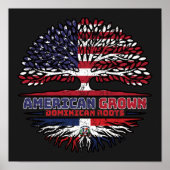 アメリカ合衆国ドミニカ共和国統一された州 ポスター (正面)